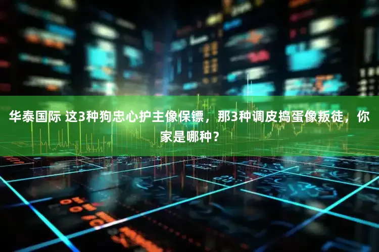 华泰国际 这3种狗忠心护主像保镖，那3种调皮捣蛋像叛徒，你家是哪种？